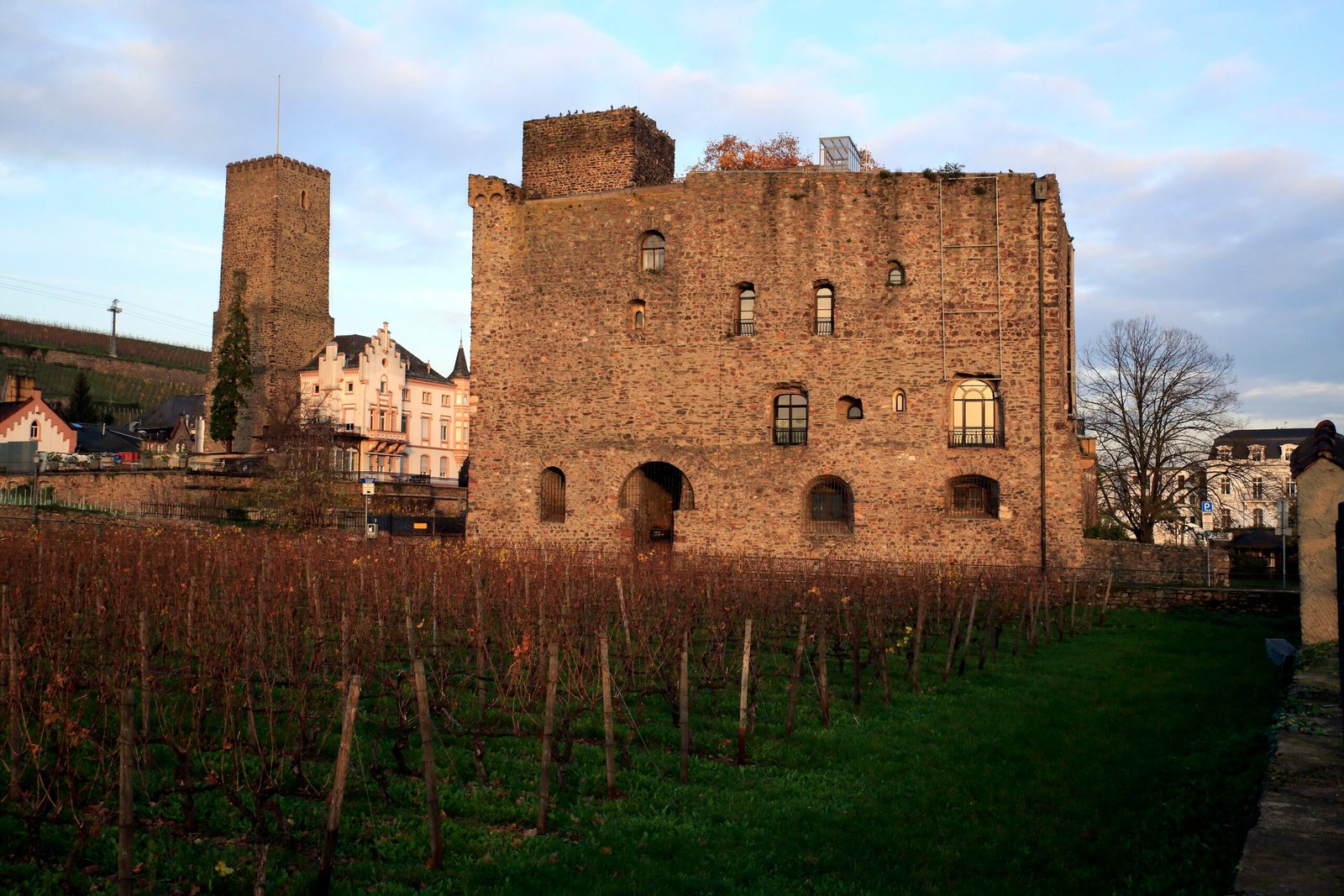 Brömserburg castle exterior with garden, golden-hour light