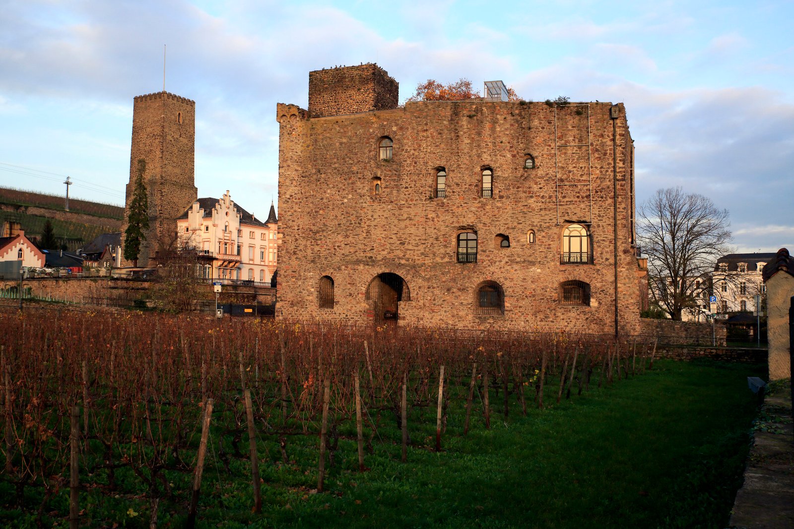 Brömserburg castle exterior with garden, golden-hour light